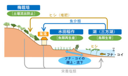 三方五湖世界農業遺産推進協議会