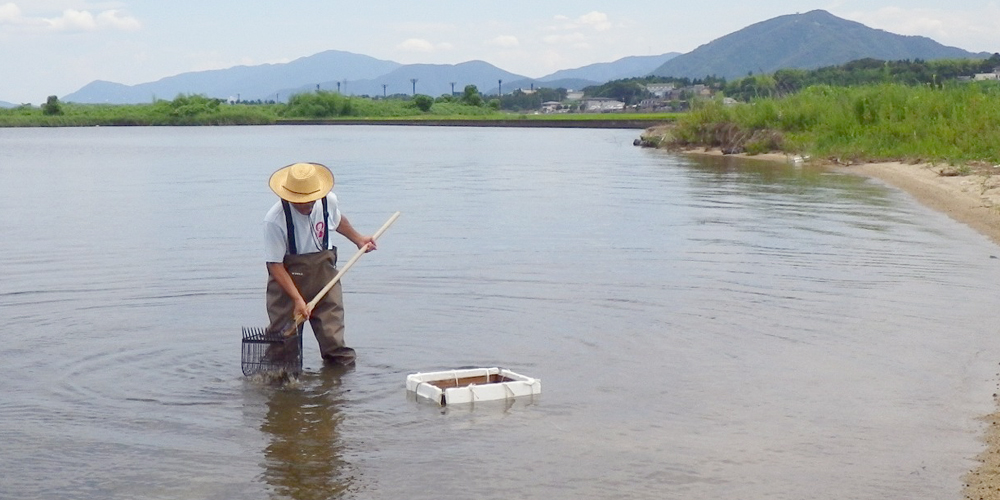 三方五湖世界農業遺産推進協議会