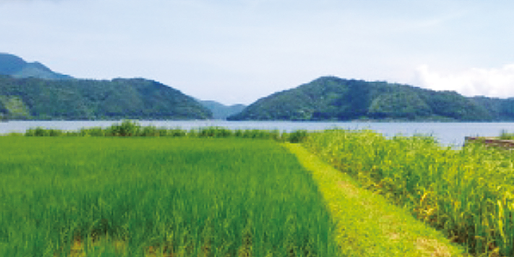 三方五湖世界農業遺産推進協議会